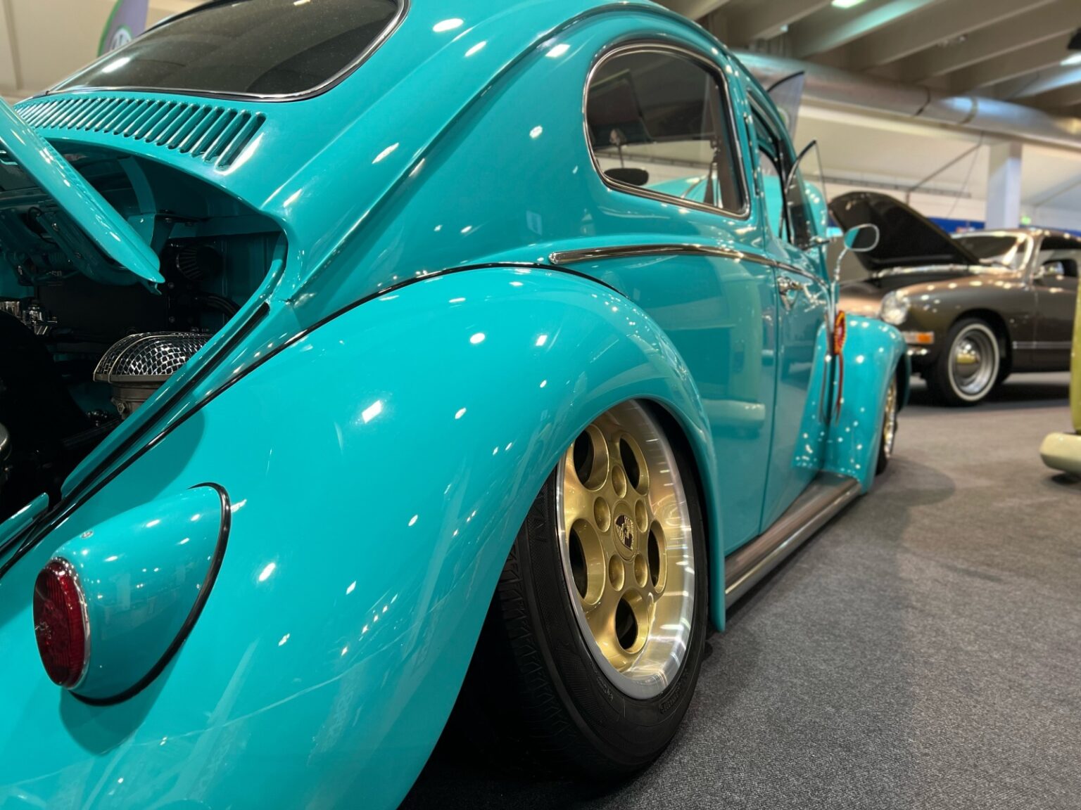 Spikes Built' Beetle