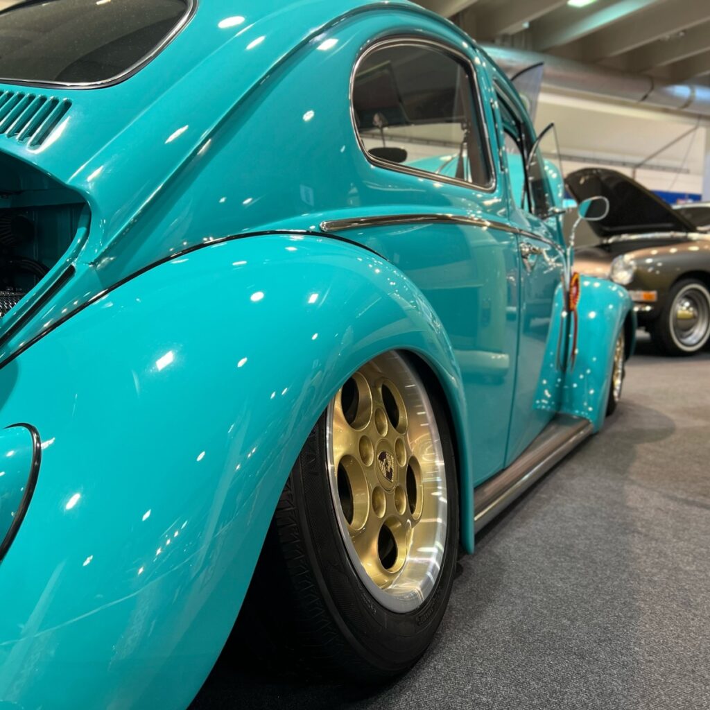 Spikes Built' Beetle