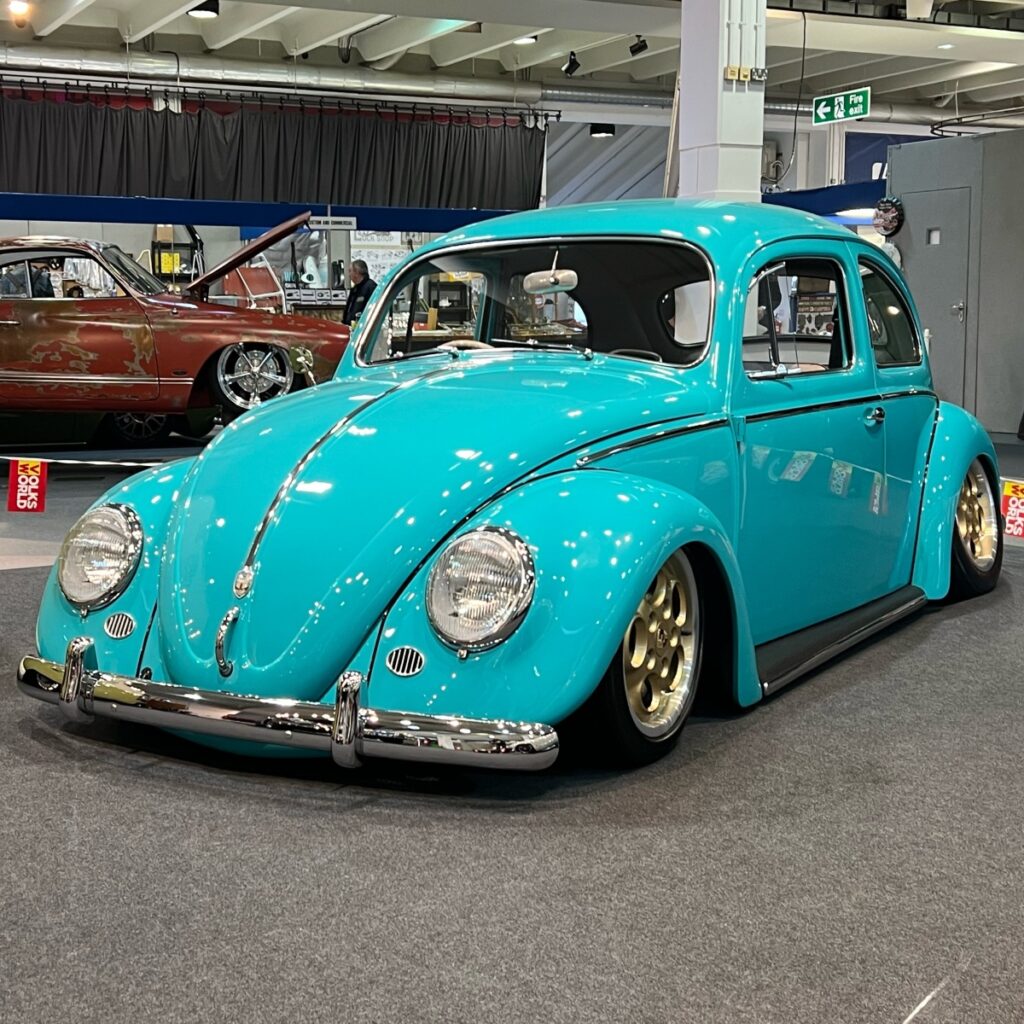 Spikes Built' Beetle