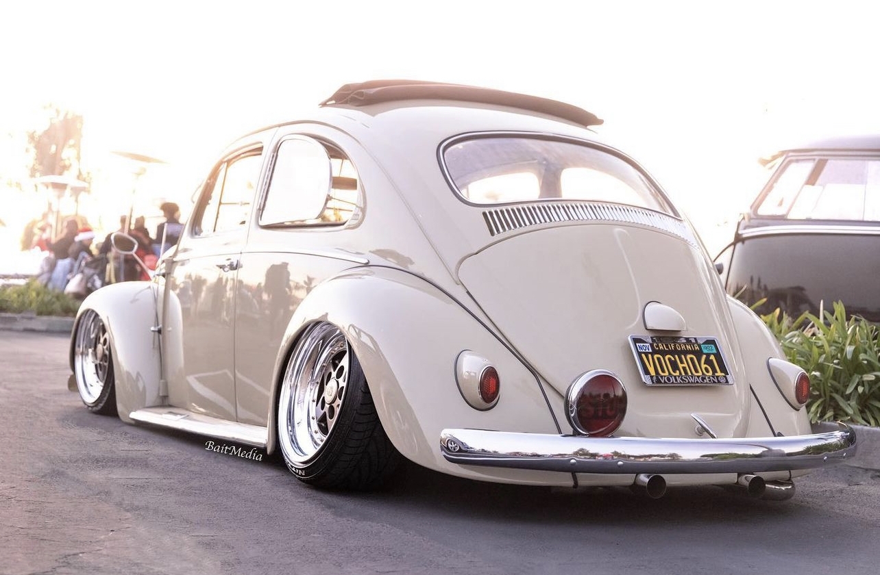 BaitMedia' Beetle