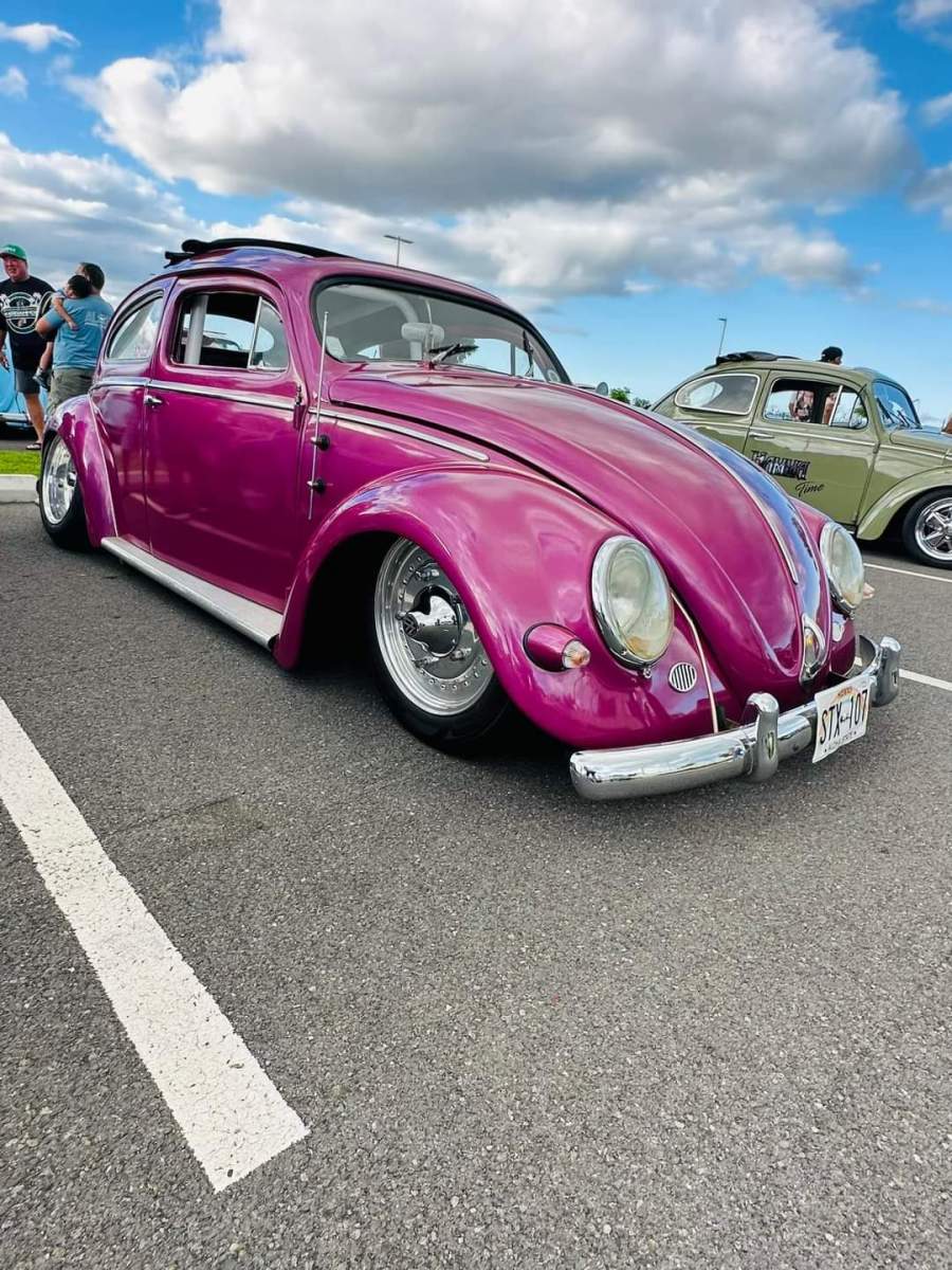 Pink Beetle