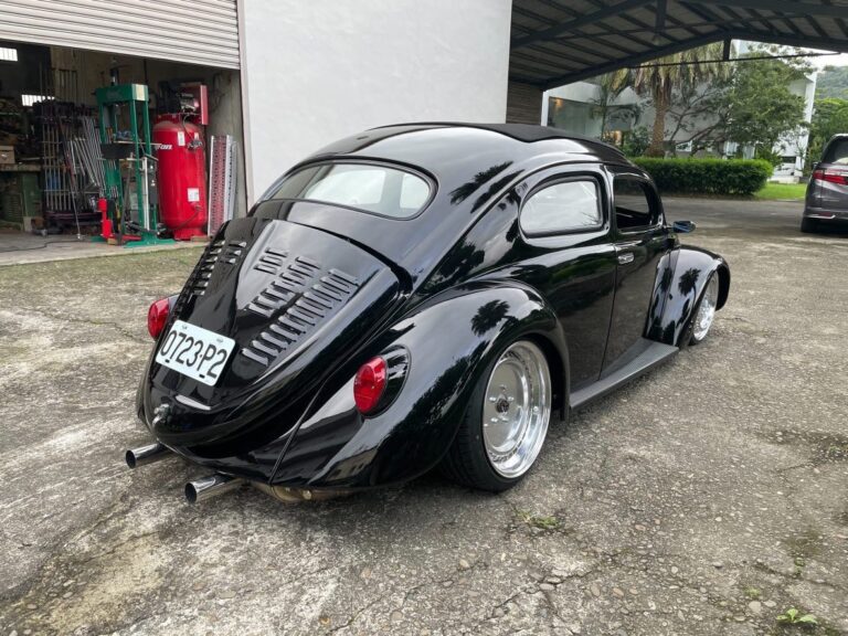 Tomes' Beetle