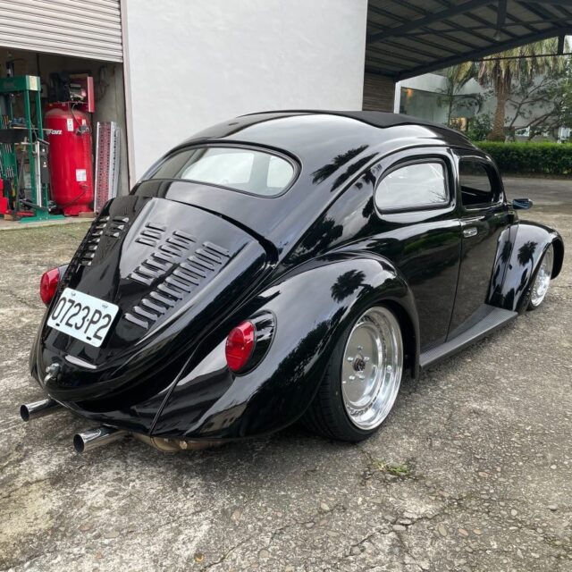 Tomes' Beetle