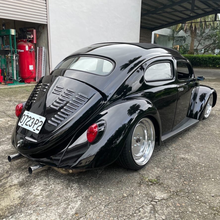 Tomes' Beetle
