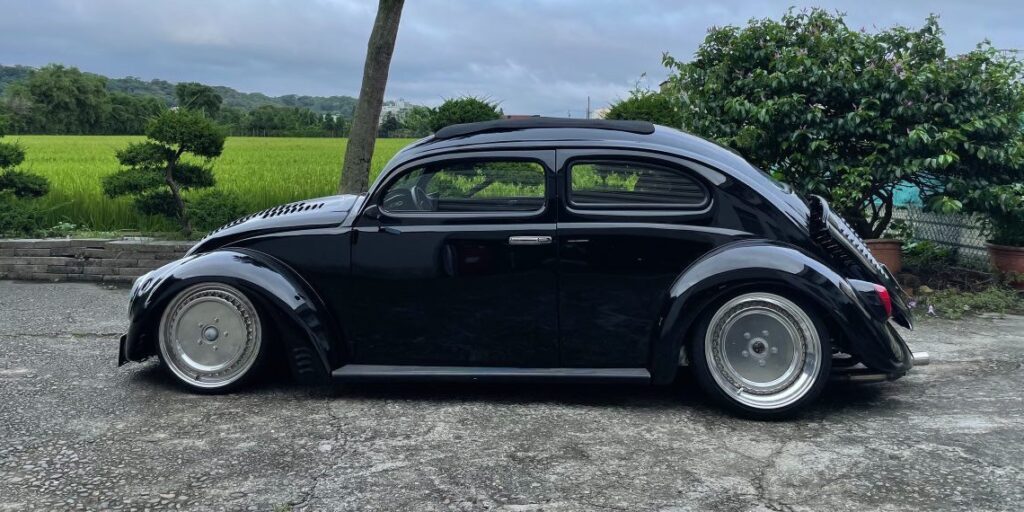 Tomes' Beetle