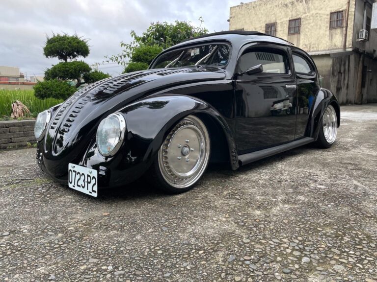 Tomes' Beetle