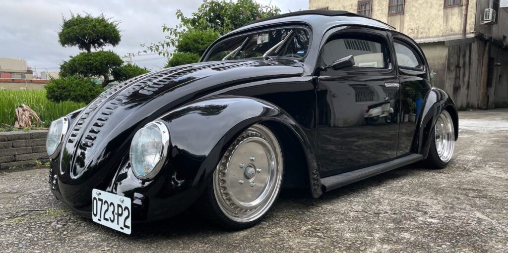 Tomes' Beetle