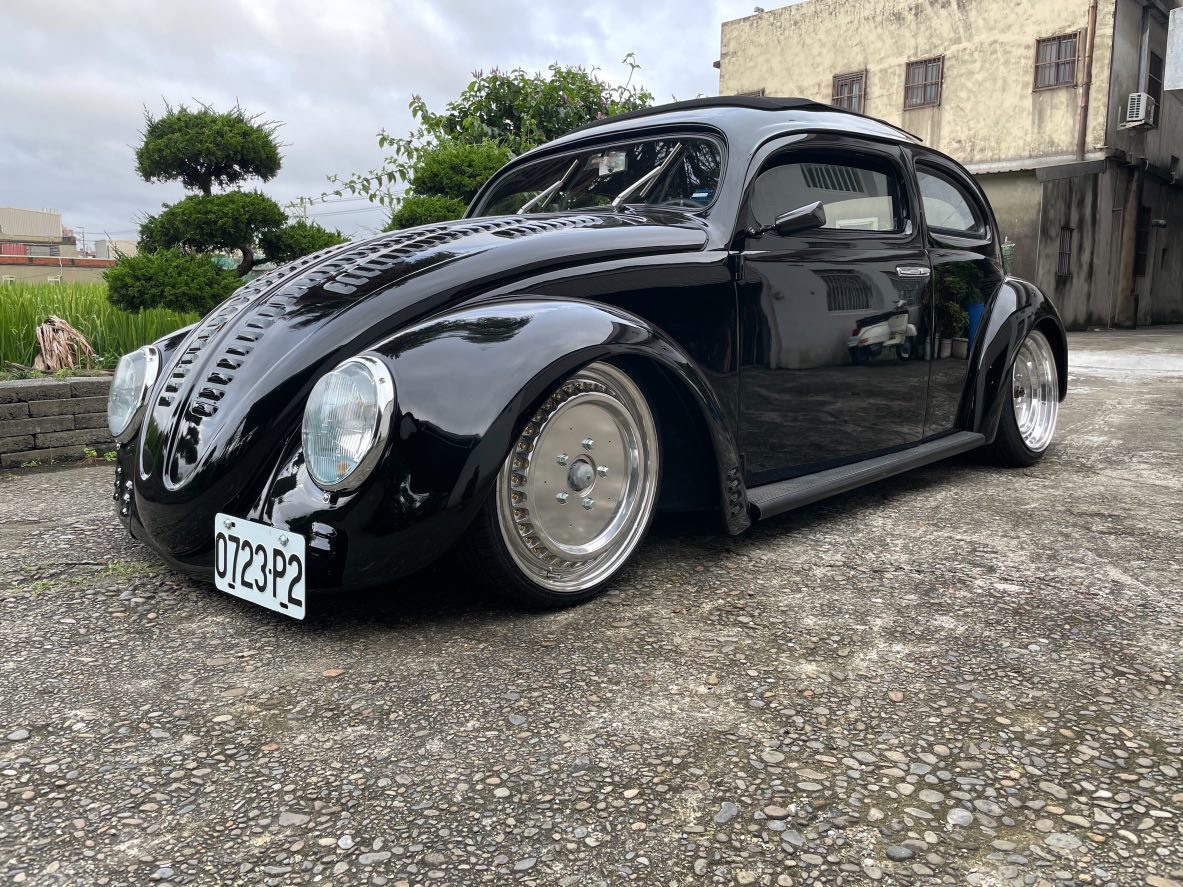 Tomes' Beetle
