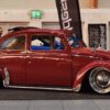 Glen O' Beetle