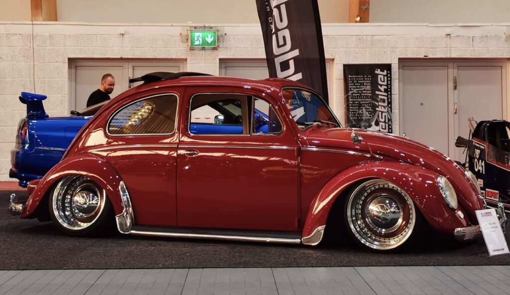 Glen O' Beetle