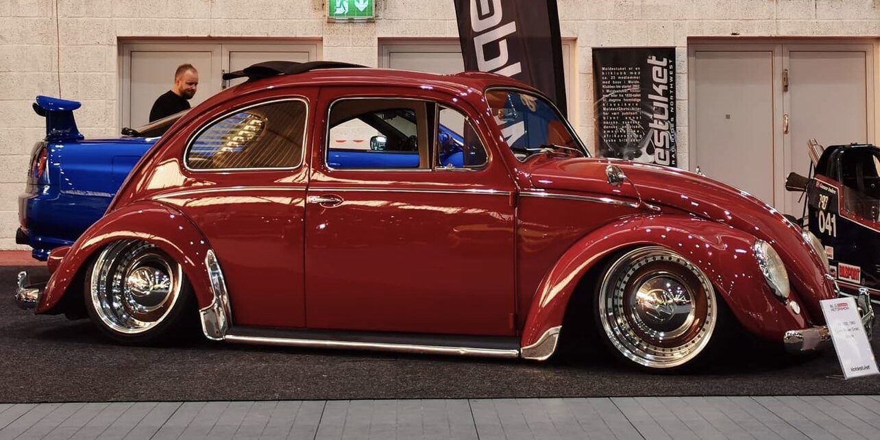 Glen O' Beetle