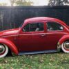 Travis B' Beetle
