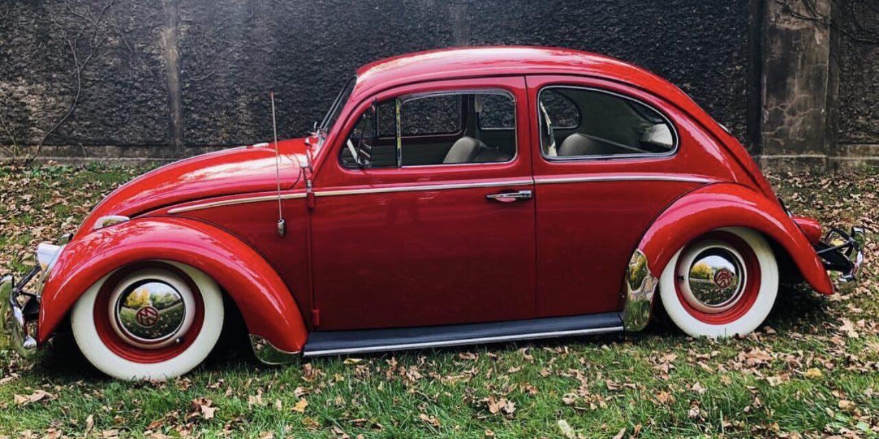 Travis B' Beetle