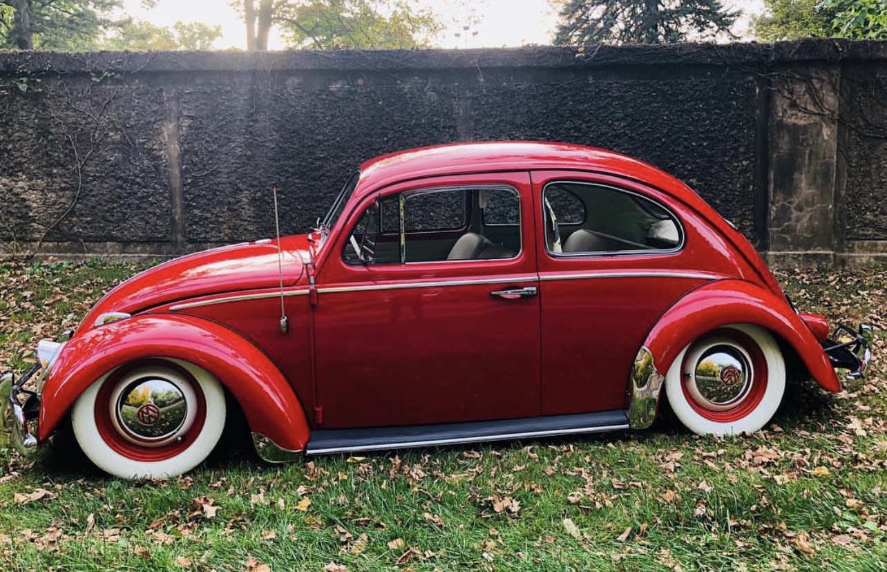 Travis B' Beetle