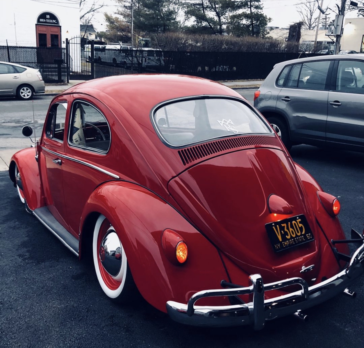 Travis B' Beetle