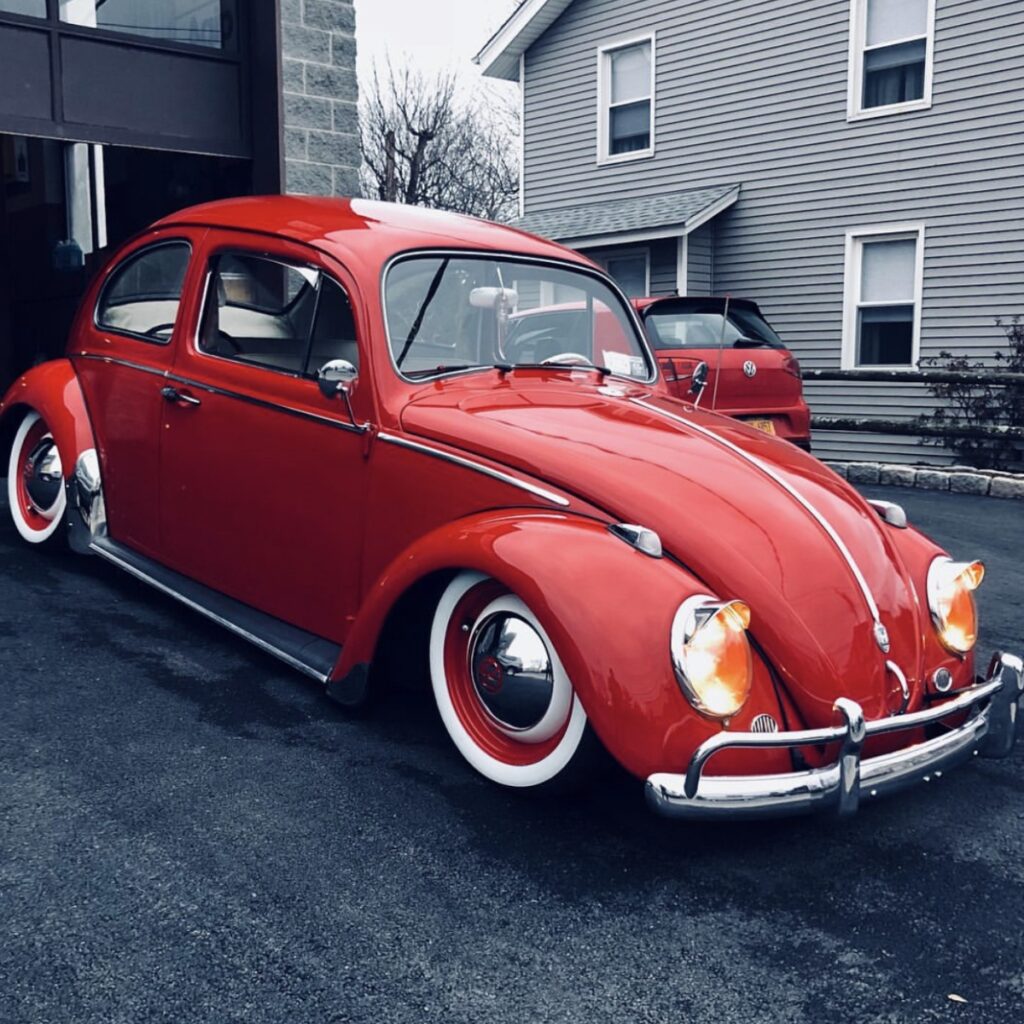 Travis B' Beetle