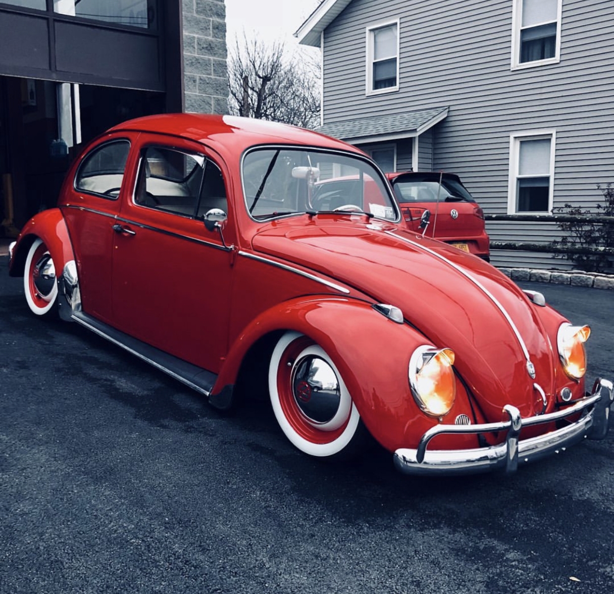 Travis B' Beetle