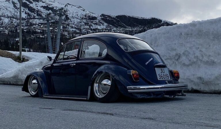 Nicky B' Beetle
