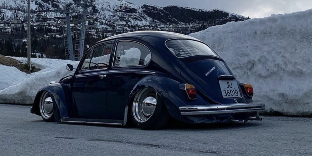 Nicky B' Beetle