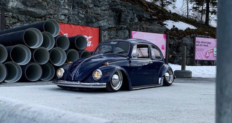 Nicky B' Beetle