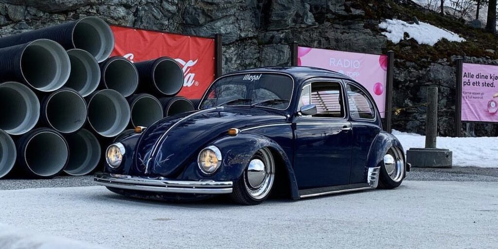 Nicky B' Beetle
