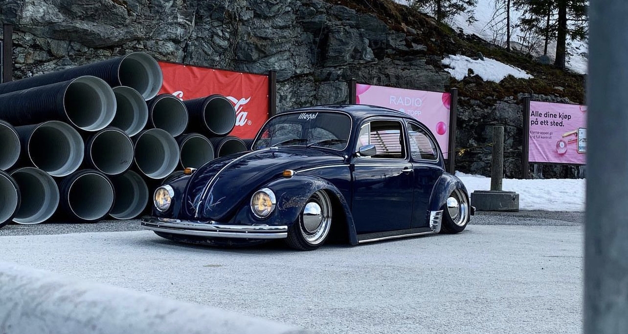 Nicky B' Beetle