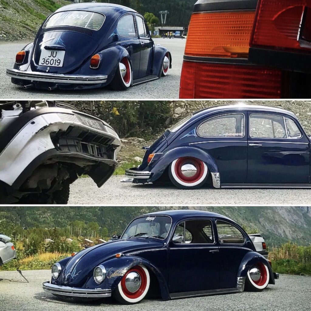 Nicky B' Beetle