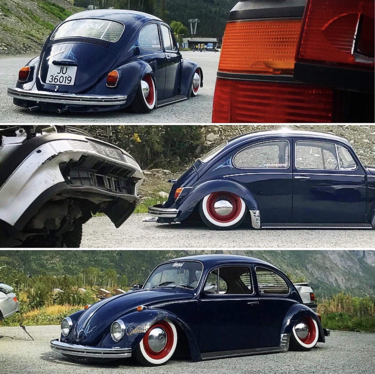 Nicky B' Beetle