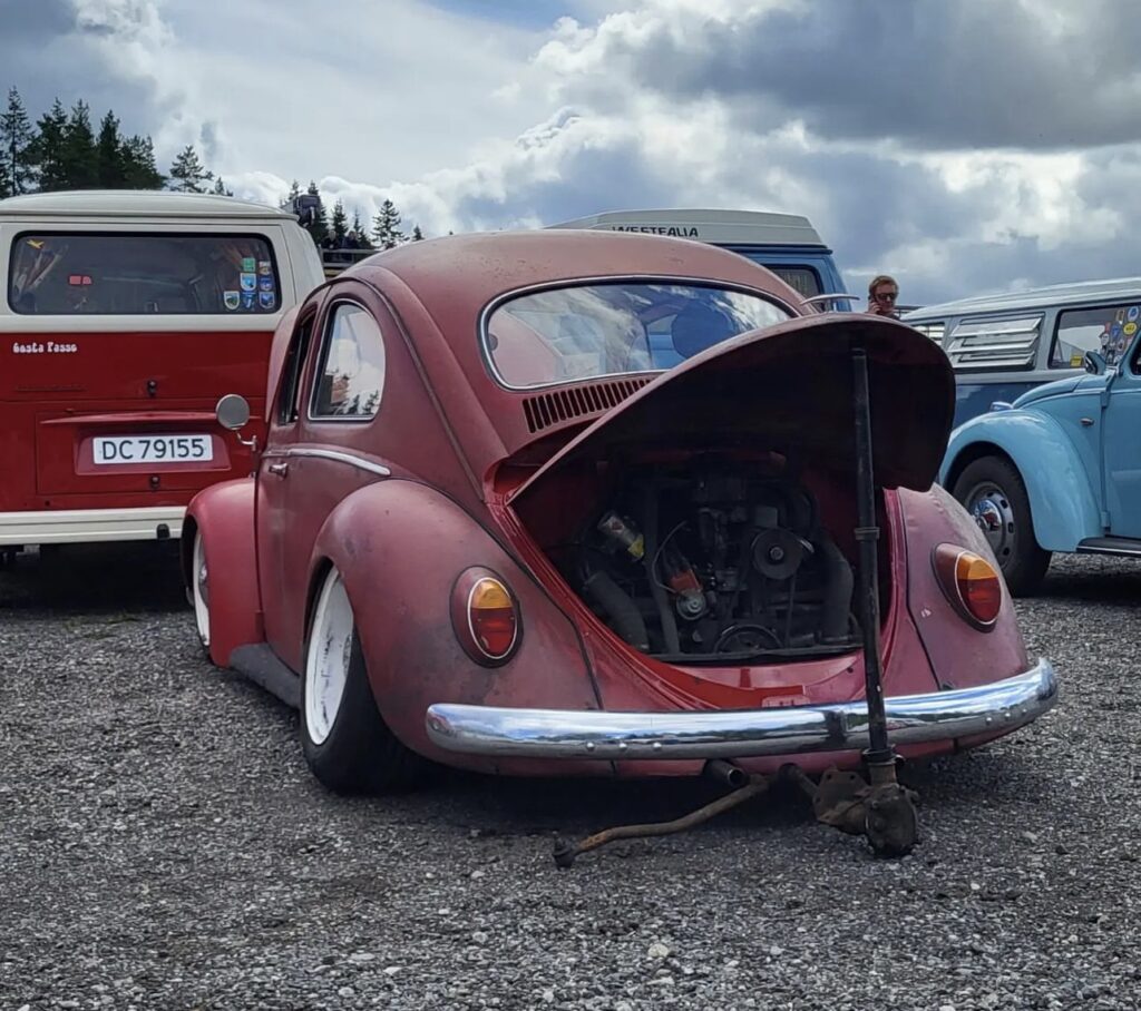 Marius P' Beetle