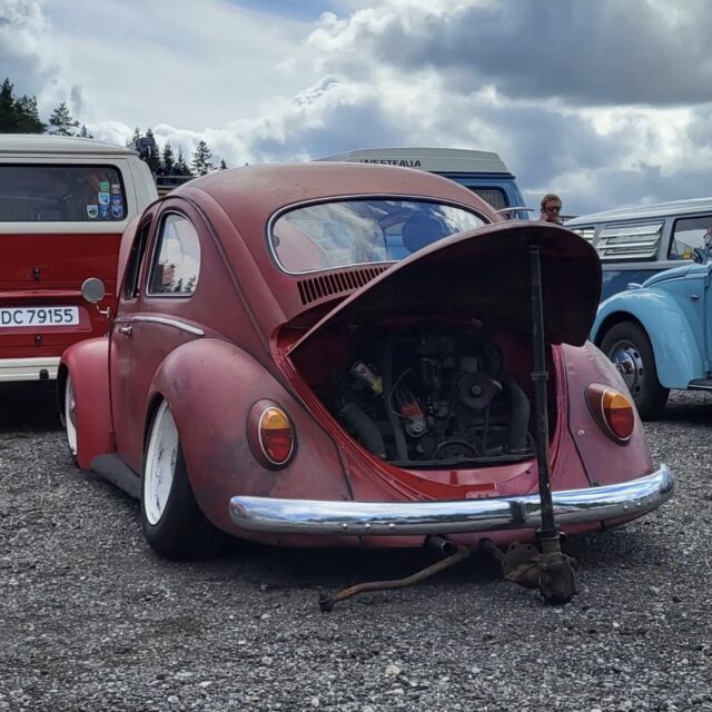 Marius P' Beetle