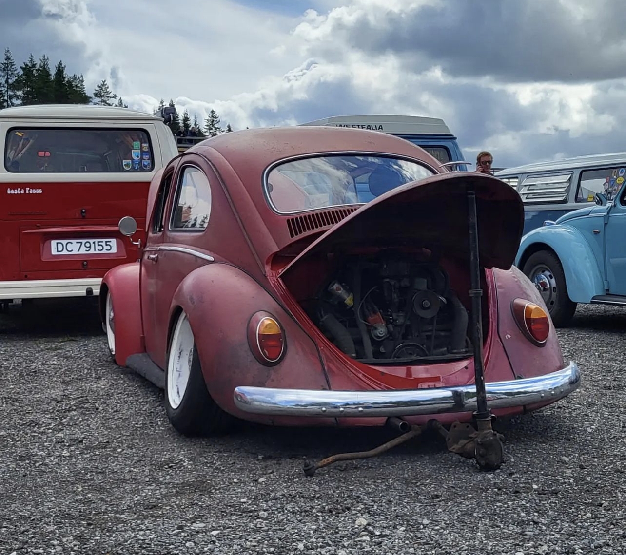 Marius P' Beetle