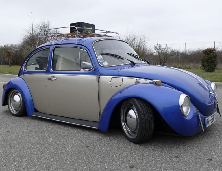 Kaf Air' Beetle