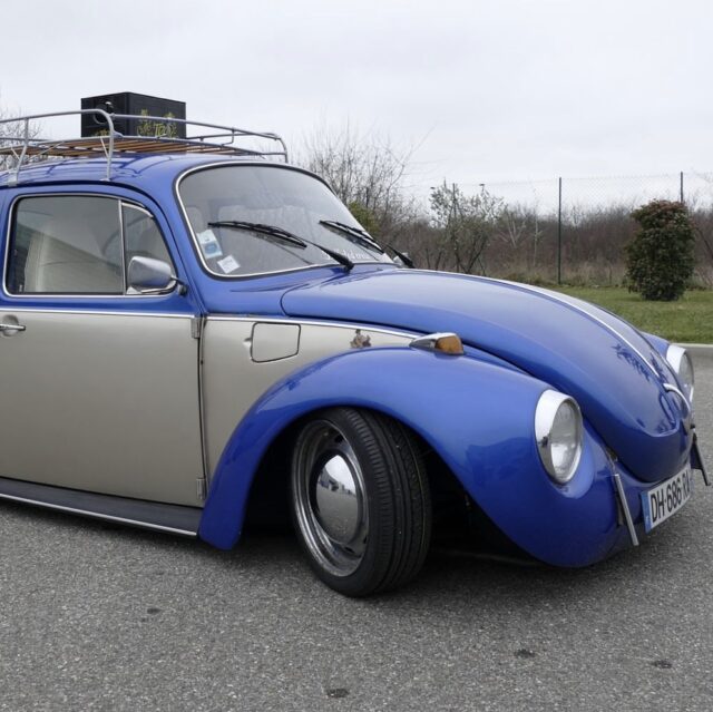 Kaf Air' Beetle