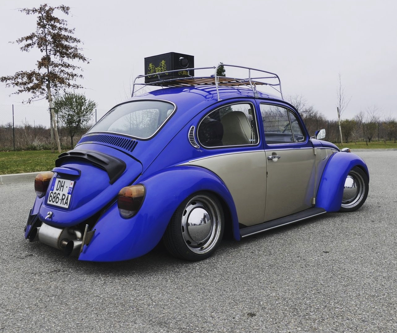 Kaf Air' Beetle