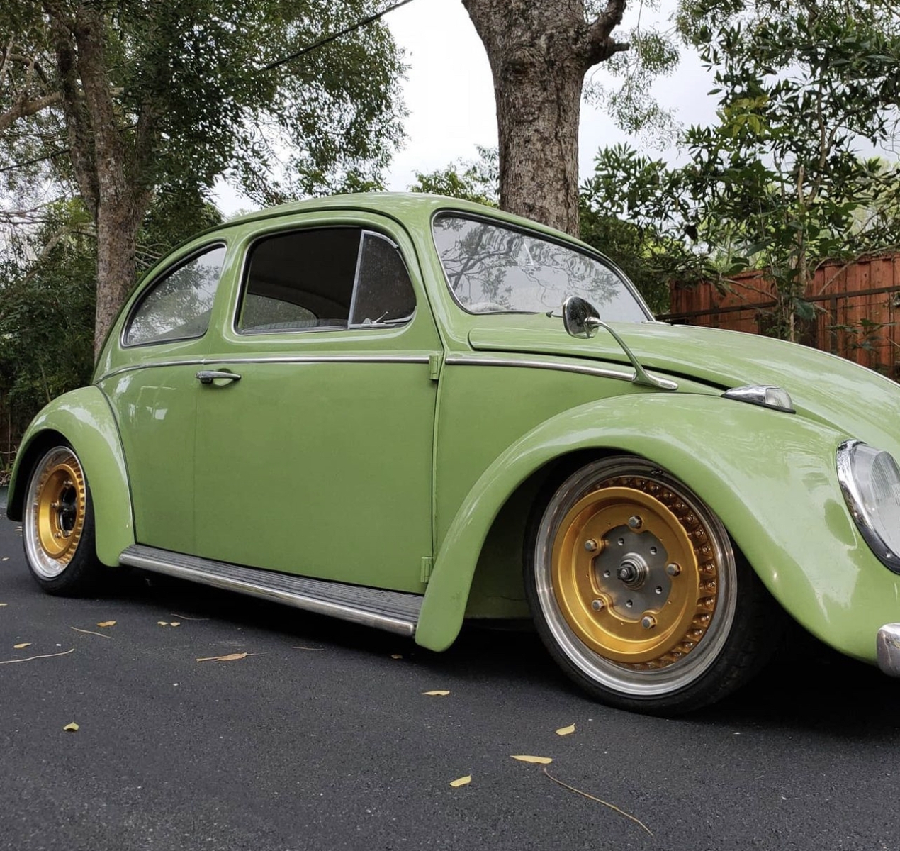 Sean L' Beetle