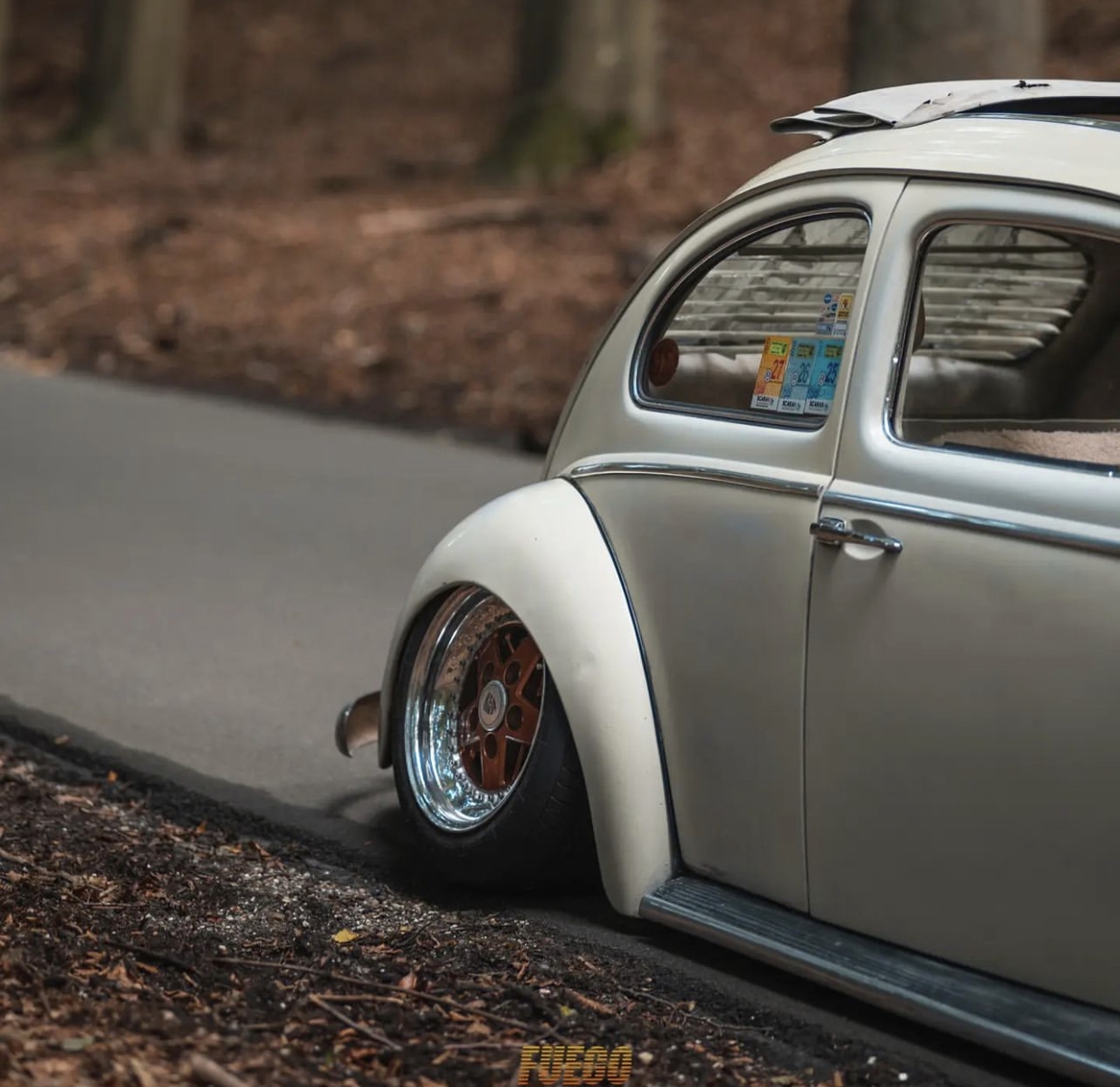 Paul B' Beetle
