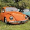 Stuart C' Beetle