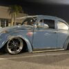 Adam P' Beetle