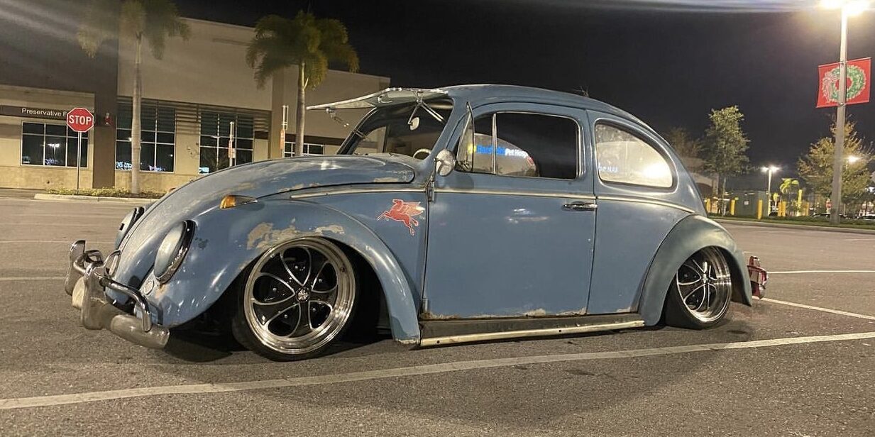 Adam P' Beetle