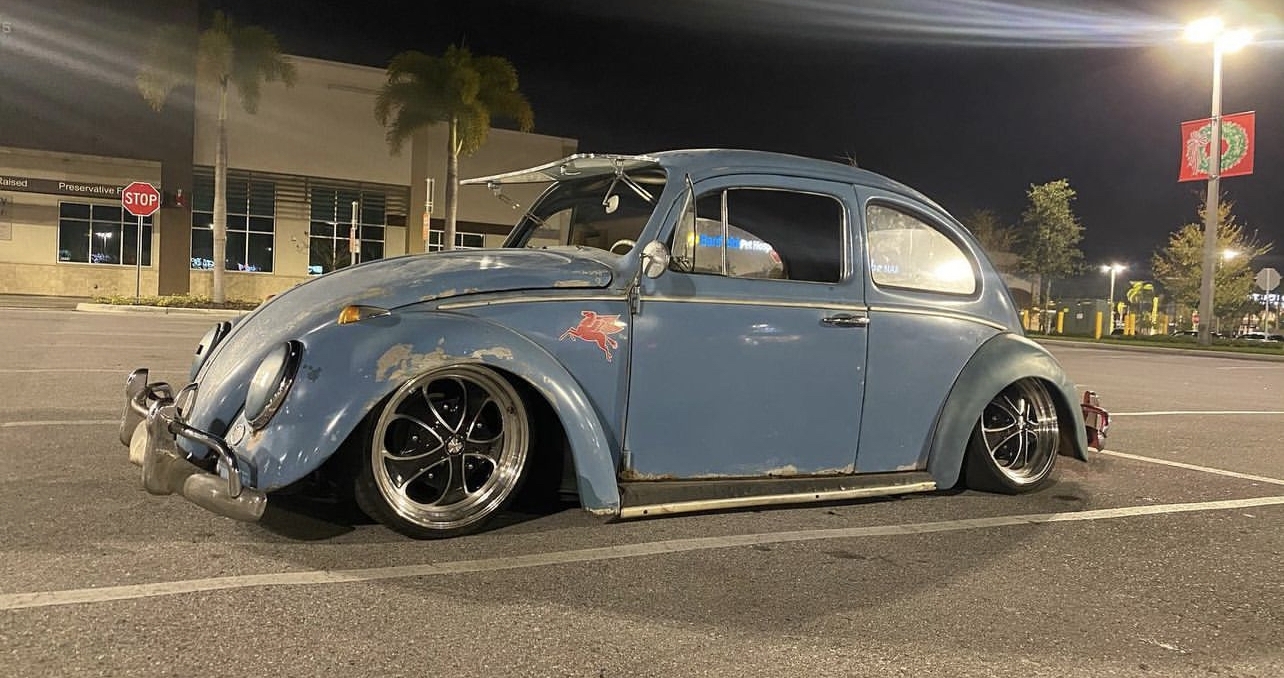 Adam P' Beetle