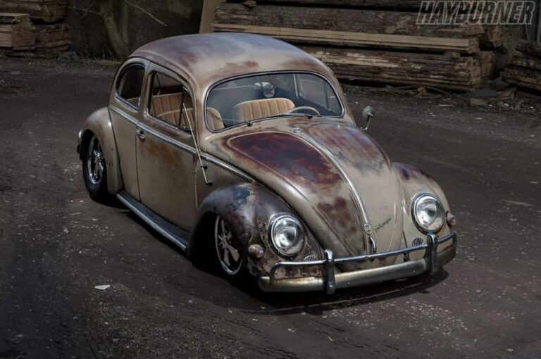Andrew C' Beetle