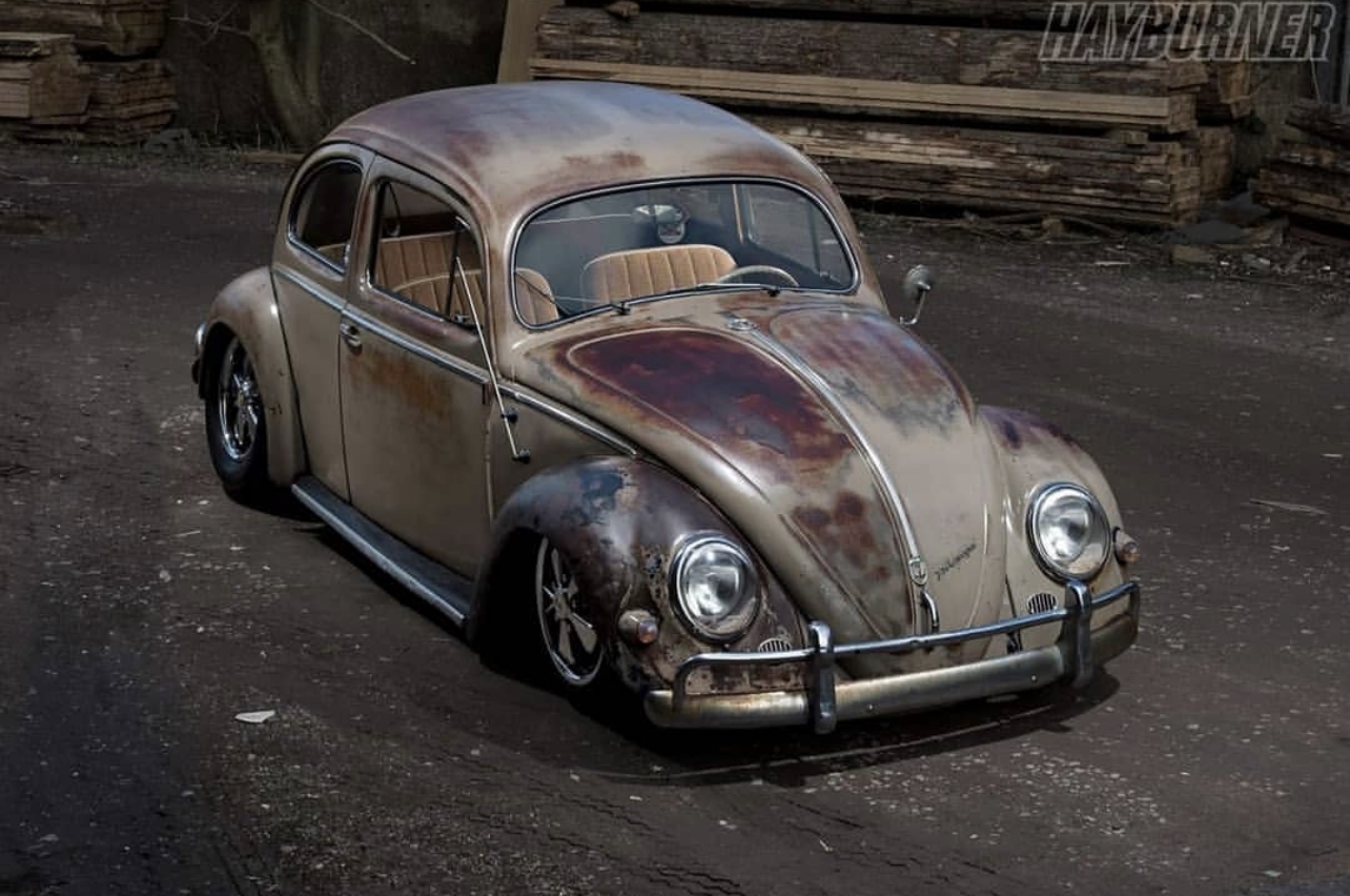 Andrew C' Beetle