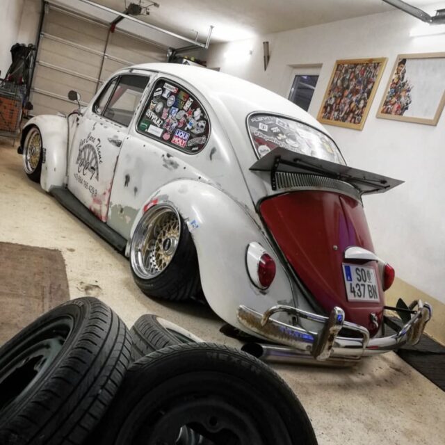 Michael P' Beetle