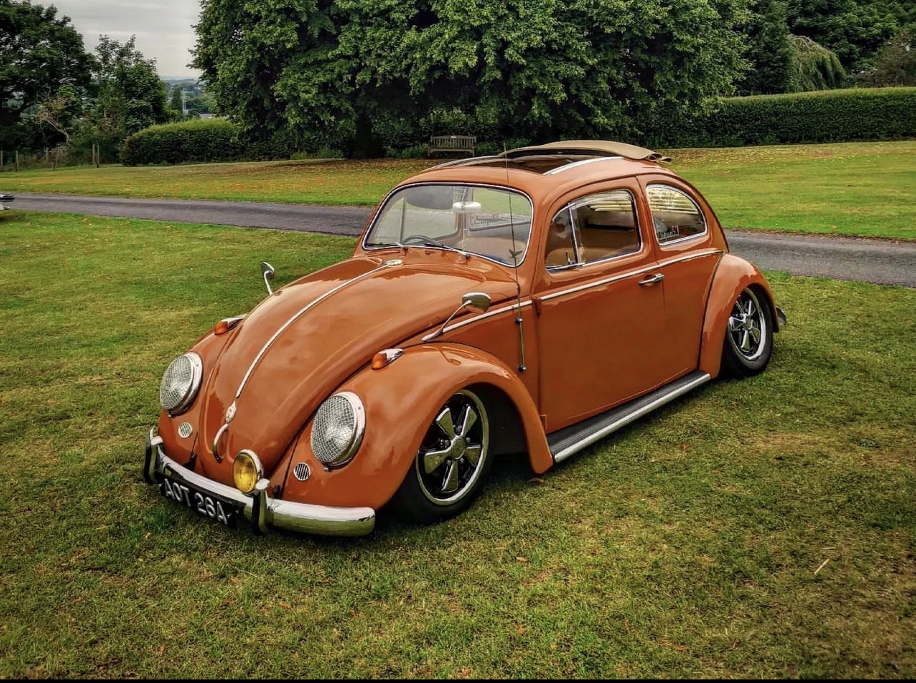 Alastair S' 1963 Beetle