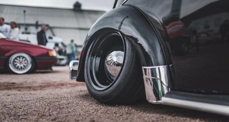 Wolfi' Beetle