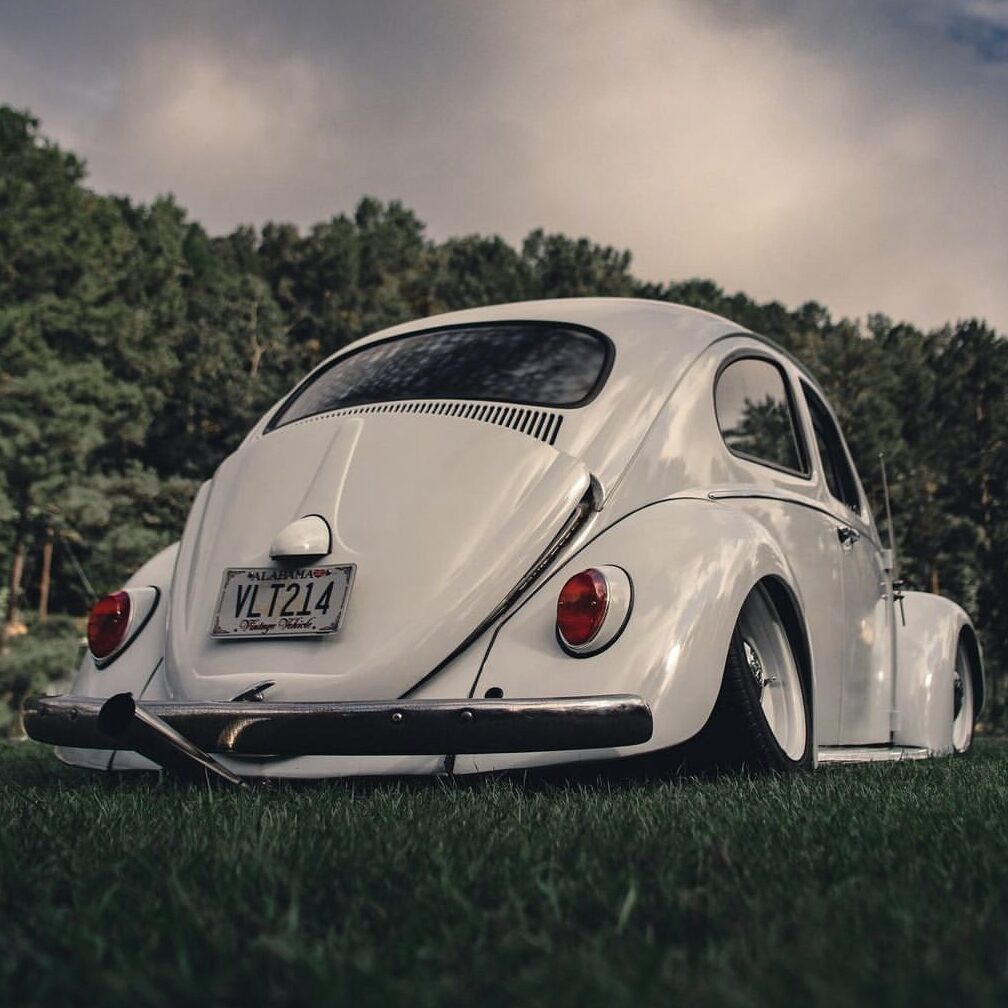 Pat H' Beetle