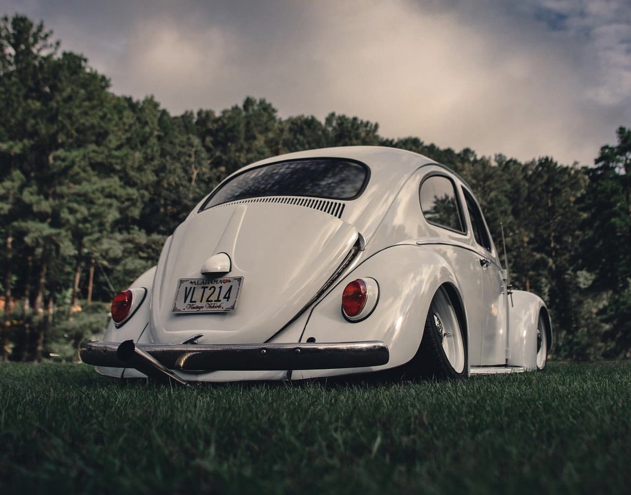 Pat H' Beetle
