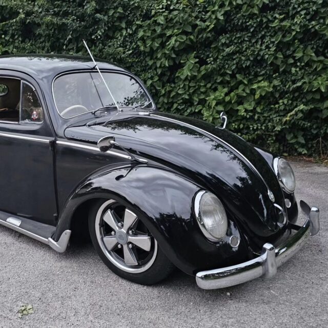 Nick G' Beetle