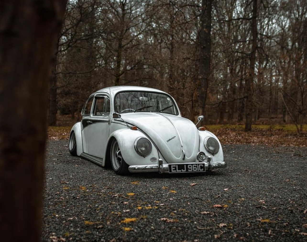 Alex A' 1965 Beetle