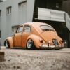 Lio' Beetle